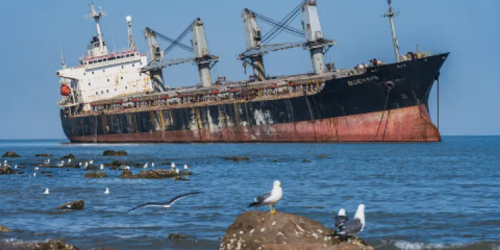 擱淺貨輪布魯維斯號