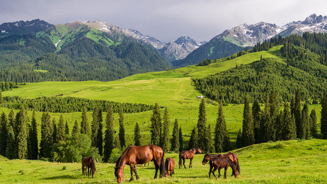 Qiaxi Grassland Tourist Scenic Spot