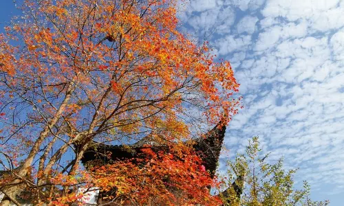 Wuyuan Xi Yuan