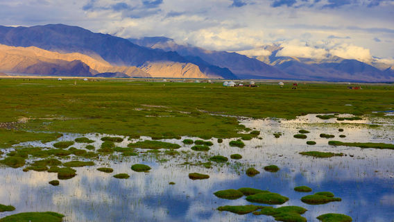 Pamir Golden Grass Beach - Observation Deck