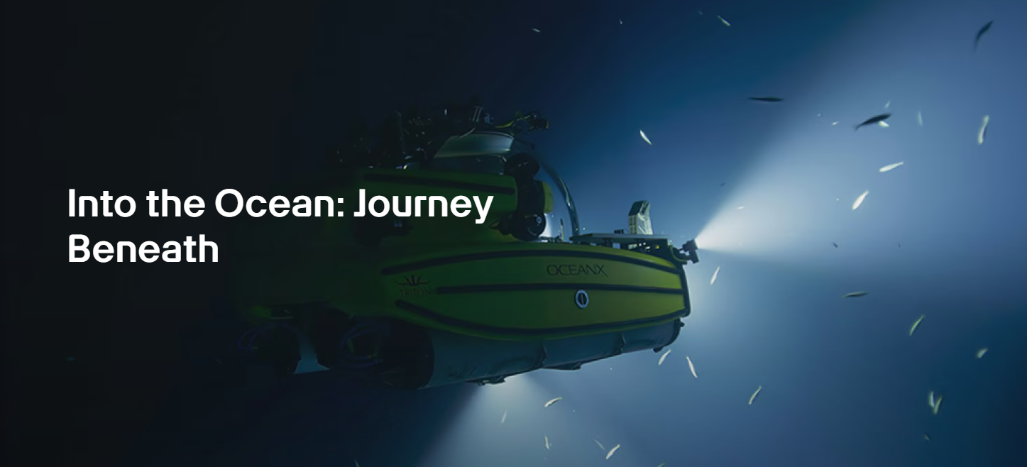 Into The Ocean: Journey Beneath | ArtScience Museum