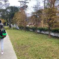 【台北】城市中的後花園｜想陽明山