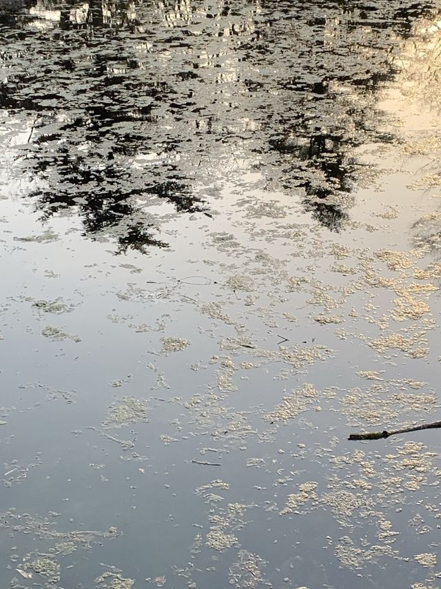 불국사, 경주