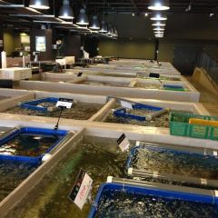 Addiction Aquatic Development User Photo