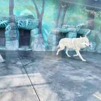 大阪親子遊 必去動物園 
