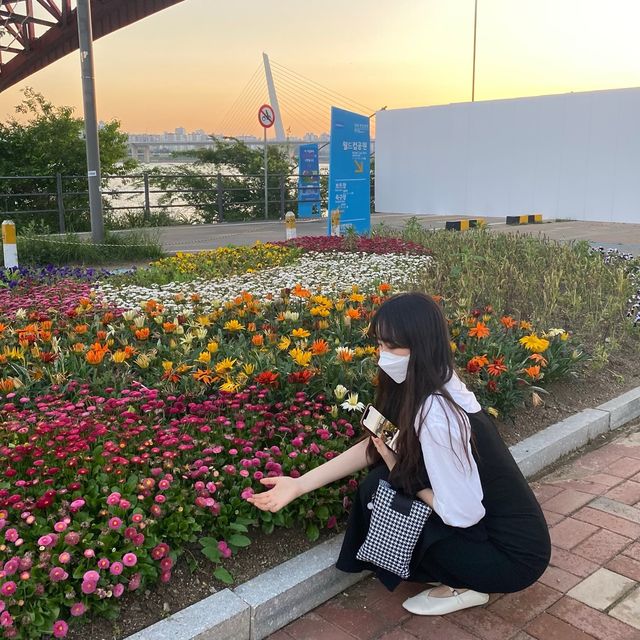 [꽃 나들이 할래요?_망원 한강공원]