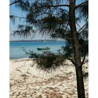 Barakuda Beach