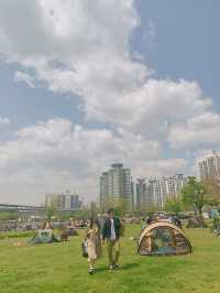 서울의 중심, 한강 ⁺⸜(･ ᗜ ･)