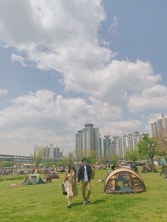 서울의 중심, 한강 ⁺⸜(･ ᗜ ･)