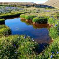 Deosai Plains, Deosai National Park