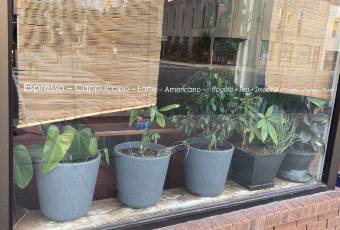 Himalayan JAVA張用戶圖片