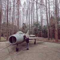 Chongming Forest Cabins Escape the City