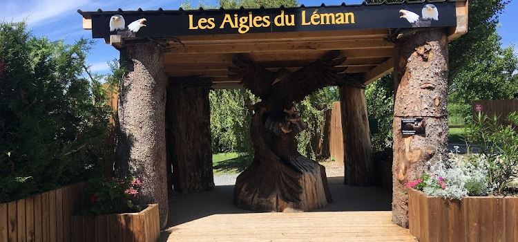 The Eagles of Lake Geneva