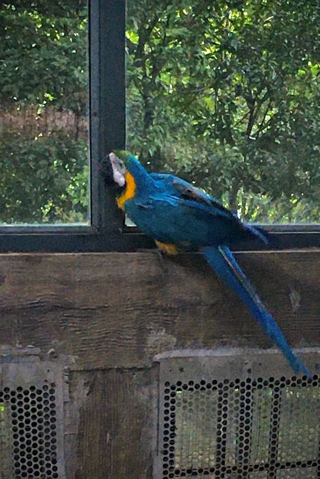武漢動物園