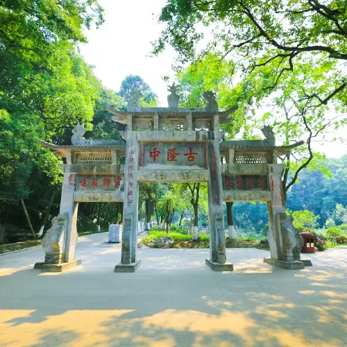 고룽중