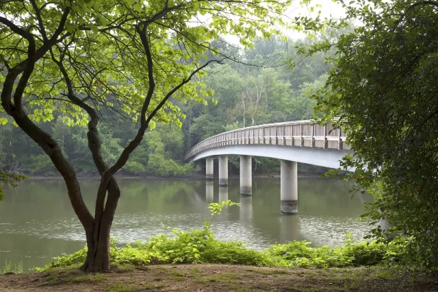 A Walking Guide to Memorials in Washington D.C.