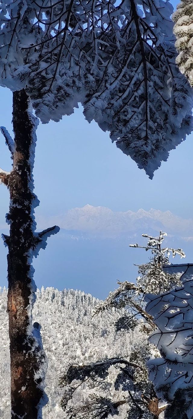 Wawushan Mountain Area