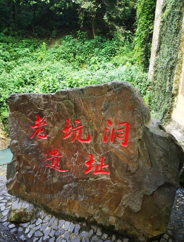Ziyungu