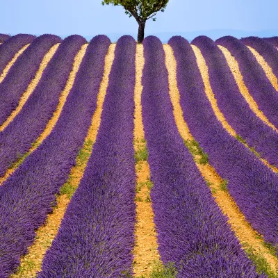 Отзывы об отеле Campanile Prime - Aix En Provence - Pont De L'arc