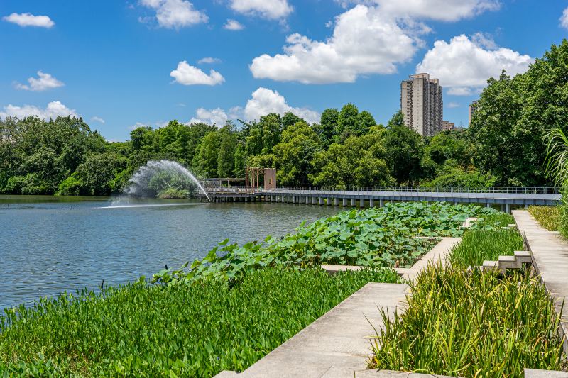 Pool in Man Kuk Lane Park