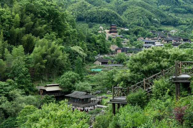 景寧設有酒吧的酒店