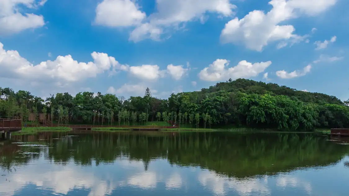 생태공원 주변 호텔