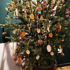 Wagas沃歌斯（番禺路店）張用戶圖片