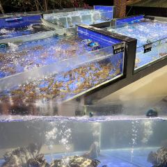 XINGLONG CHARACTERISTIC LEISURE FARM User Photo