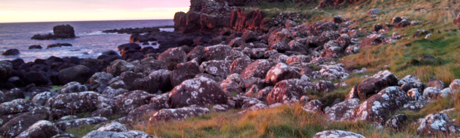 BushmillsTours de un día