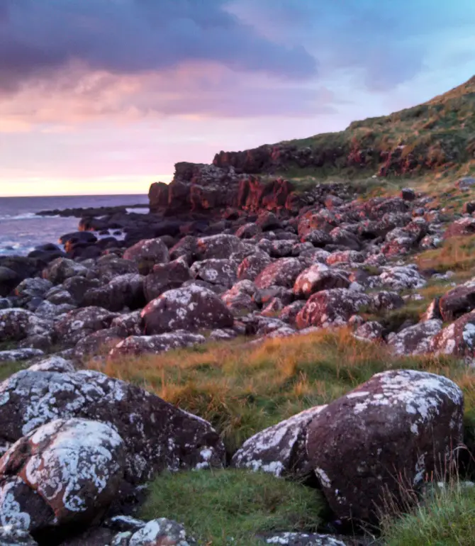 Bushmills