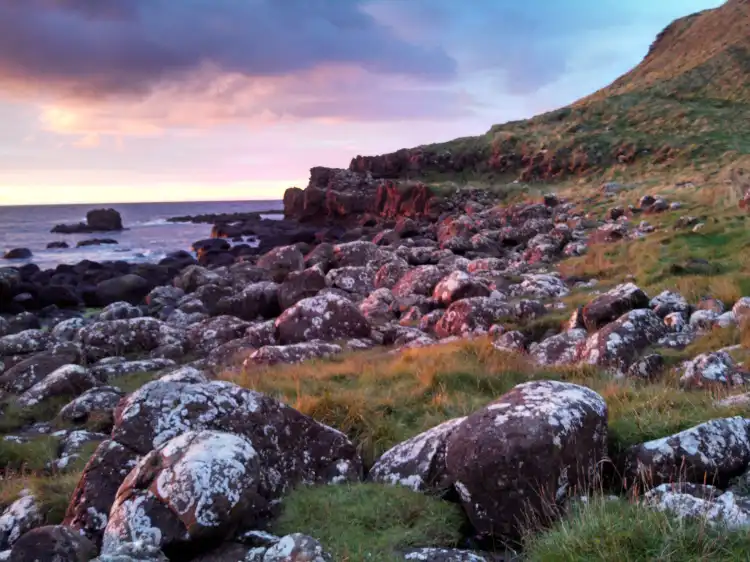 Bushmills