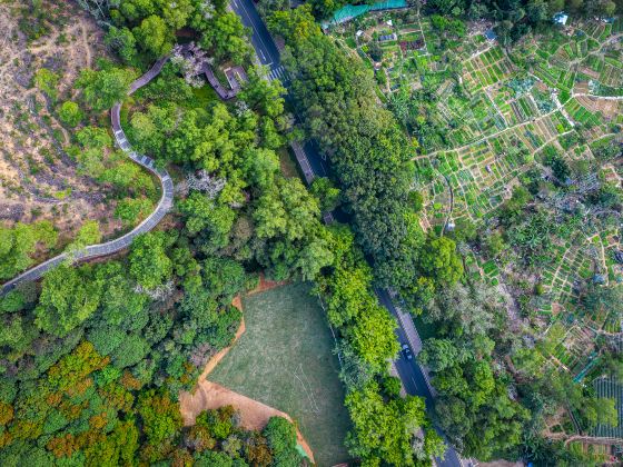 Taojin Mountain Greenway