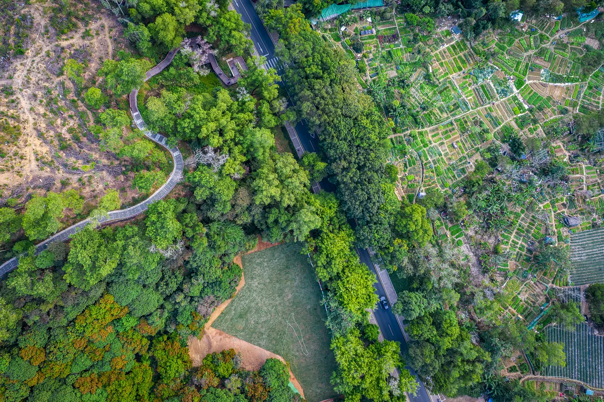 2_Taojin Mountain Greenway