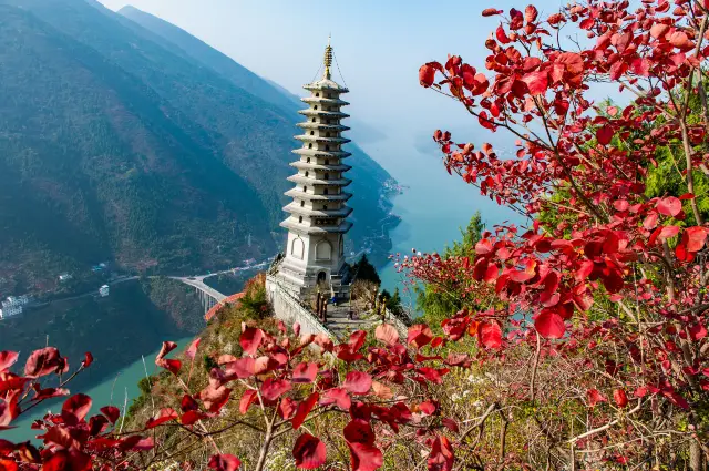 Fall Foliage Sightseeing in Wushan County