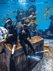 富力海洋歡樂世界海島潛記潛水中心