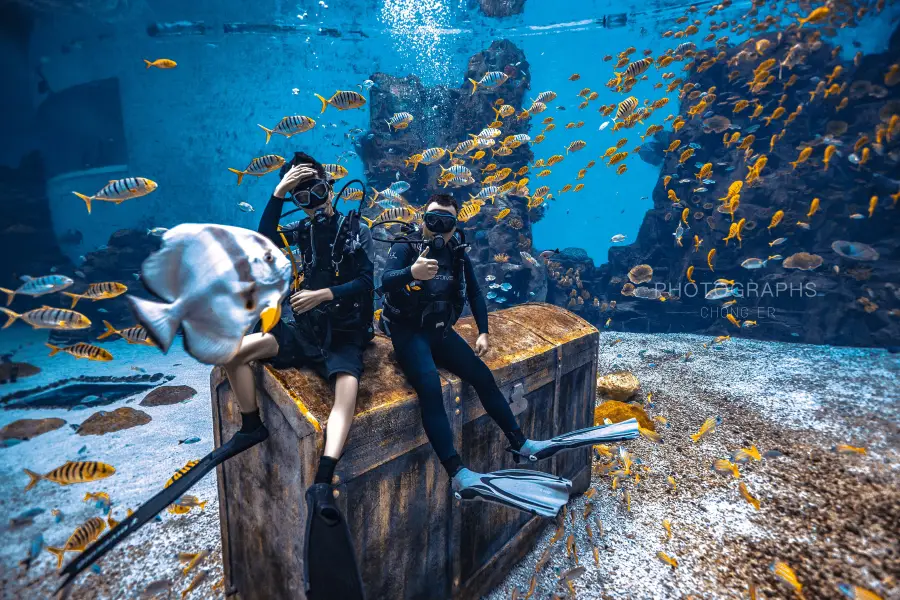 富力海洋歡樂世界海島潛記潛水中心