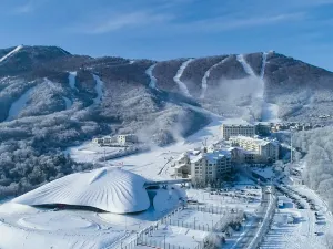 ヤブリ サンシャイン  スキー リゾート