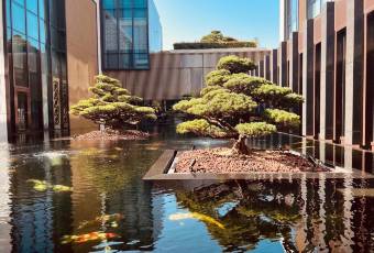 Xizhou Hall user photo
