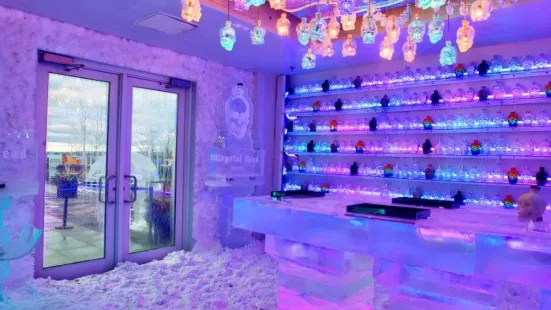 Crystal Head Vodka Ice Bar Experience