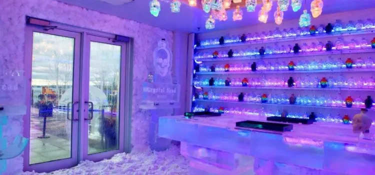 Crystal Head Vodka Ice Bar Experience