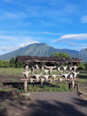 Visitor Center Baluran National Park