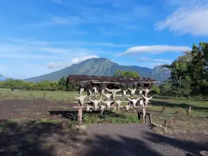 Visitor Center Baluran National Park