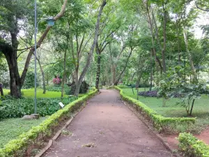 Health's Park