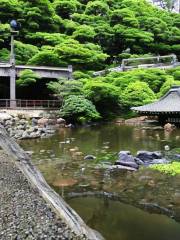 Berry Park inFISHON Ozenji