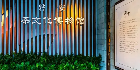 磐安茶文化博物館