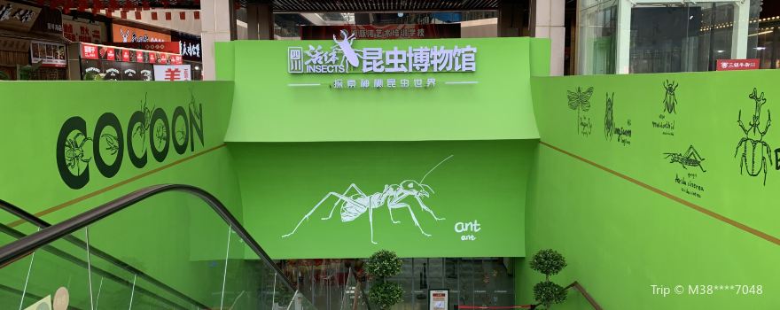 Sichuan Living Insect Museum