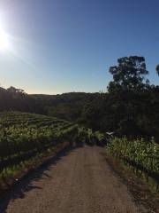 Between the Vines Cellar Door