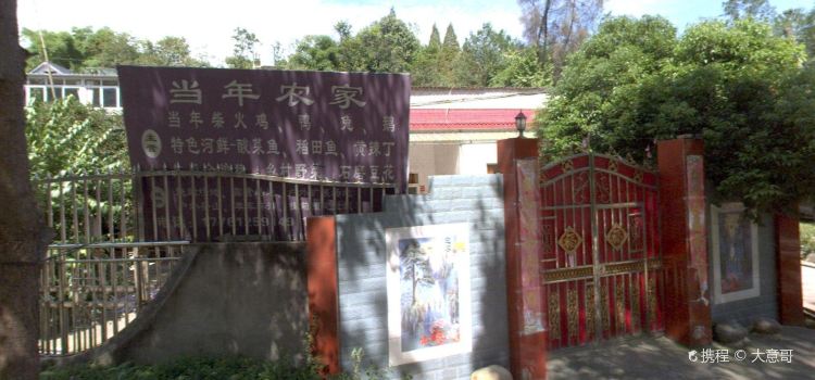 当年农家乐
