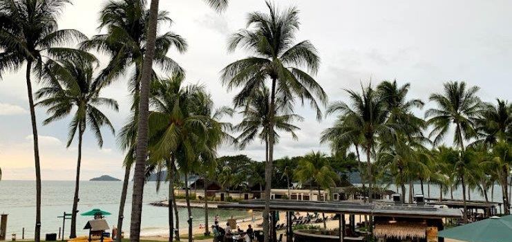 Coco-Joe's 酒吧燒烤餐廳