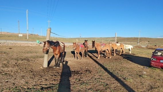 Xilamuren Grassland Ji San Horse Farm
